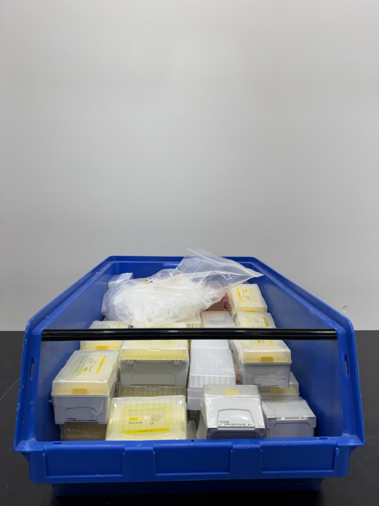 Image of Lot Of Pipette Tips